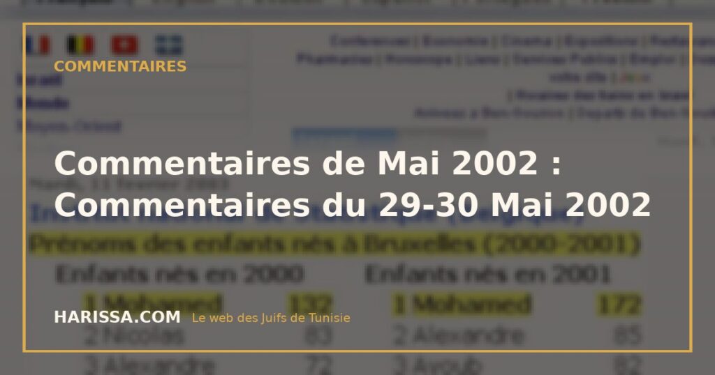 Commentaires de Mai 2002 : Commentaires du 29-30 Mai 2002