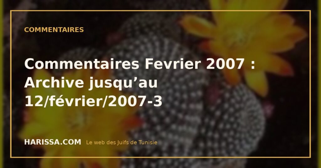 Commentaires Fevrier 2007 : Archive jusqu’au 12/février/2007-3