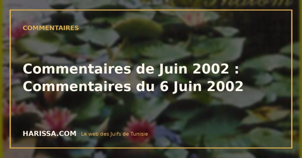 Commentaires de Juin 2002 : Commentaires du 6 Juin 2002