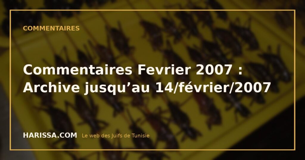 Commentaires Fevrier 2007 : Archive jusqu’au 14/février/2007