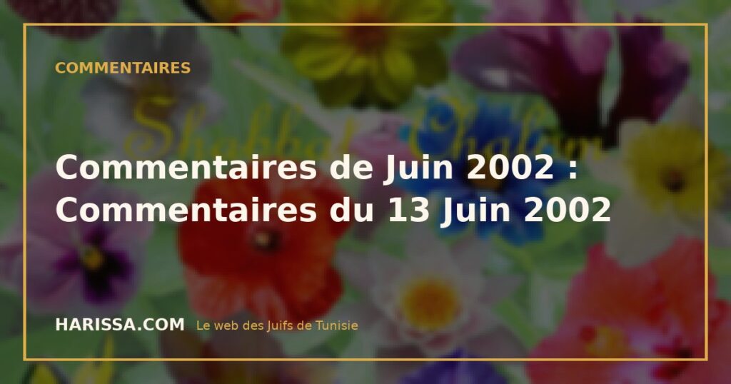 Commentaires de Juin 2002 : Commentaires du 13 Juin 2002