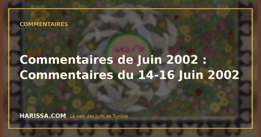 Commentaires de Juin 2002 : Commentaires du 14-16 Juin 2002