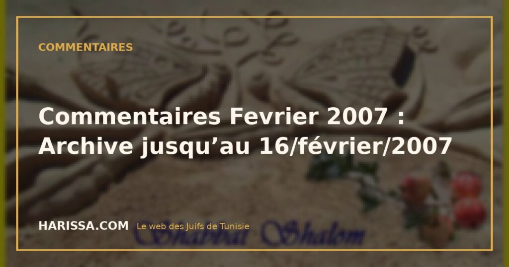 Commentaires Fevrier 2007 : Archive jusqu’au 16/février/2007