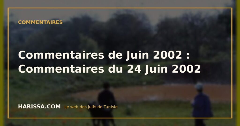 Commentaires de Juin 2002 : Commentaires du 24 Juin 2002