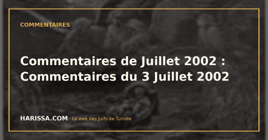 Commentaires de Juillet 2002 : Commentaires du 3 Juillet 2002