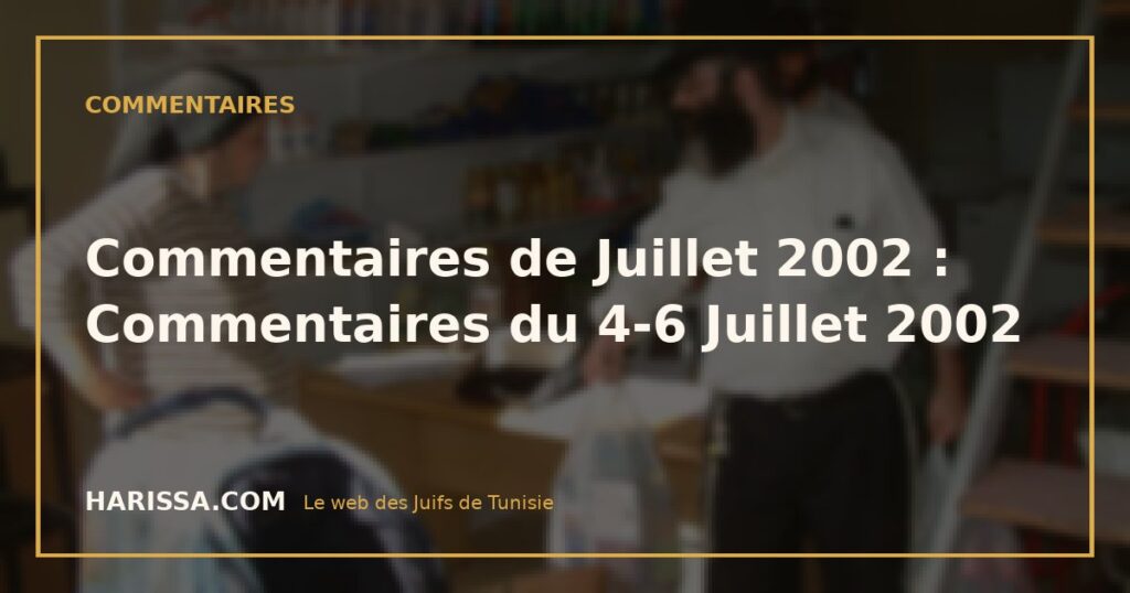 Commentaires de Juillet 2002 : Commentaires du 4-6 Juillet 2002