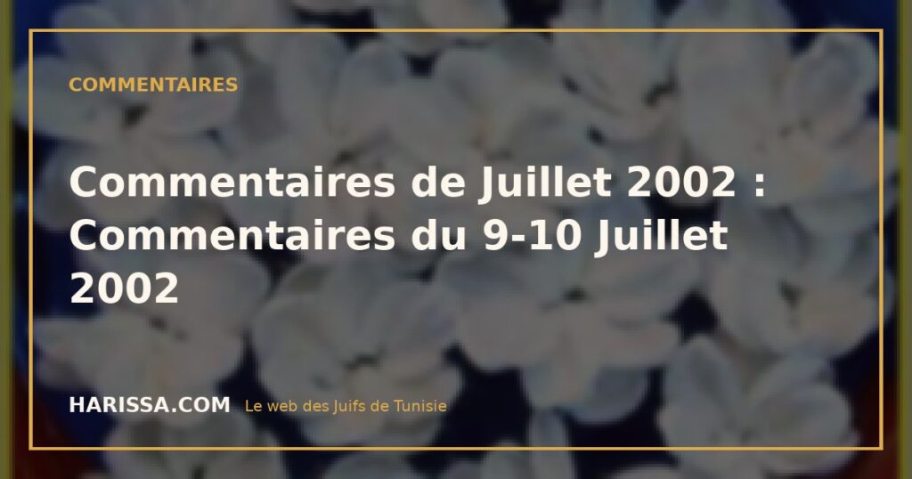 Commentaires de Juillet 2002 : Commentaires du 9-10 Juillet 2002