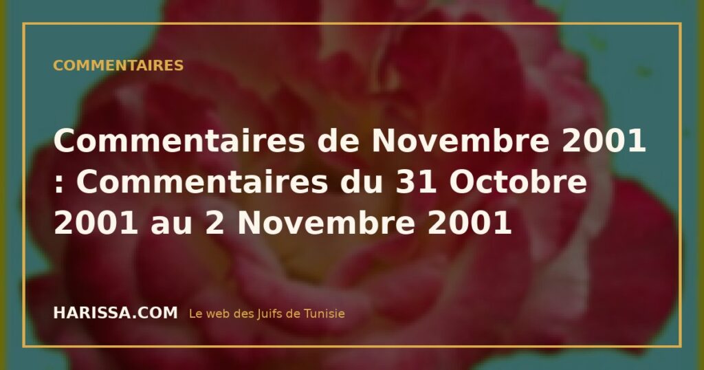 Commentaires de Novembre 2001 : Commentaires du 31 Octobre 2001 au 2 Novembre 2001
