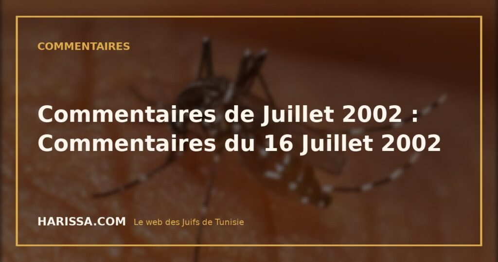 Commentaires de Juillet 2002 : Commentaires du 16 Juillet 2002