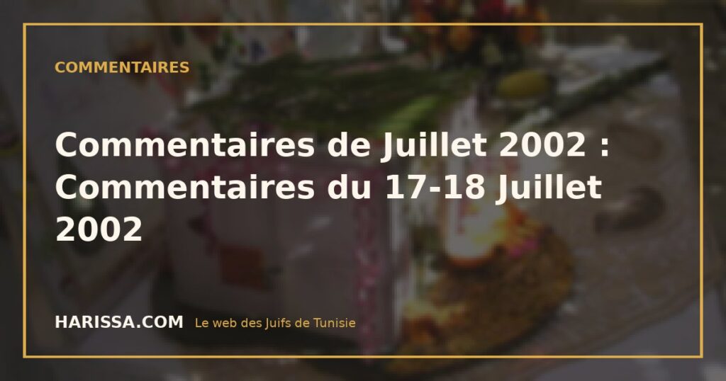 Commentaires de Juillet 2002 : Commentaires du 17-18 Juillet 2002
