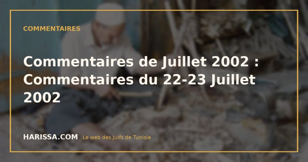 Commentaires de Juillet 2002 : Commentaires du 22-23 Juillet 2002
