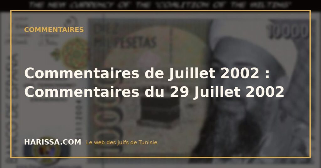 Commentaires de Juillet 2002 : Commentaires du 29 Juillet 2002