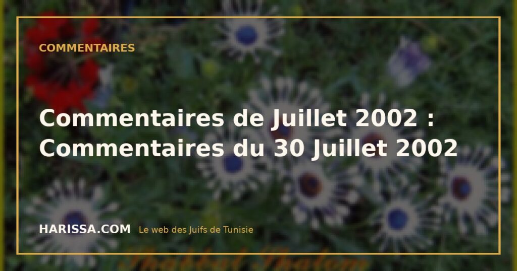Commentaires de Juillet 2002 : Commentaires du 30 Juillet 2002