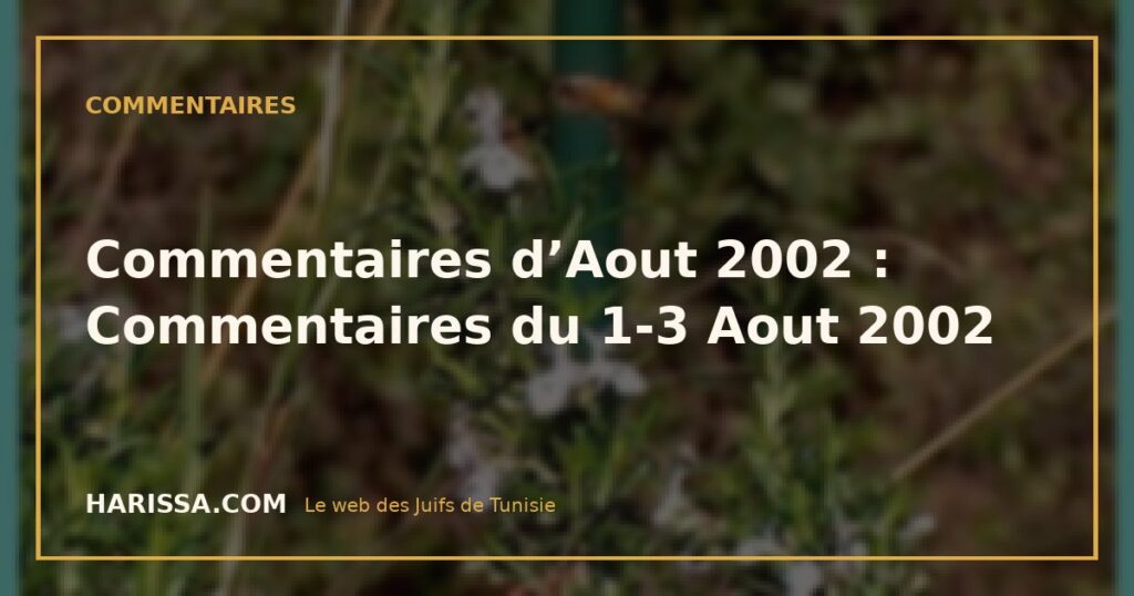 Commentaires d'Aout 2002 : Commentaires du 1-3 Aout 2002 Commentaires d’Aout 2002 : Commentaires du 1-3 Aout 2002