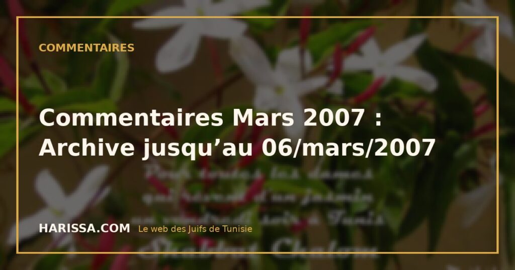 Commentaires Mars 2007 : Archive jusqu’au 06/mars/2007