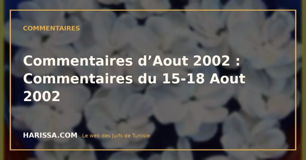 Commentaires d’Aout 2002 : Commentaires du 15-18 Aout 2002