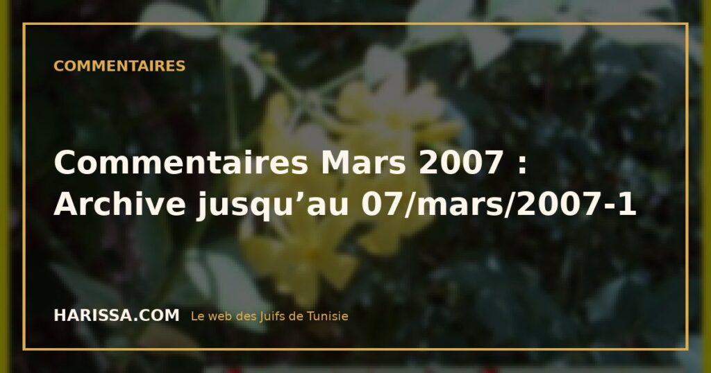 Commentaires Mars 2007 : Archive jusqu’au 07/mars/2007-1