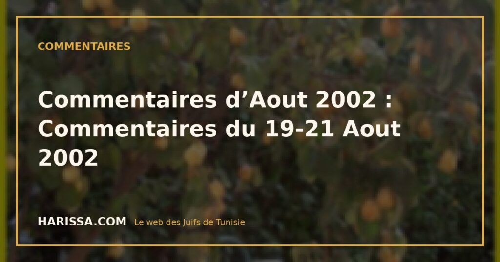 Commentaires d’Aout 2002 : Commentaires du 19-21 Aout 2002