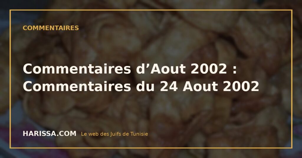Commentaires d’Aout 2002 : Commentaires du 24 Aout 2002