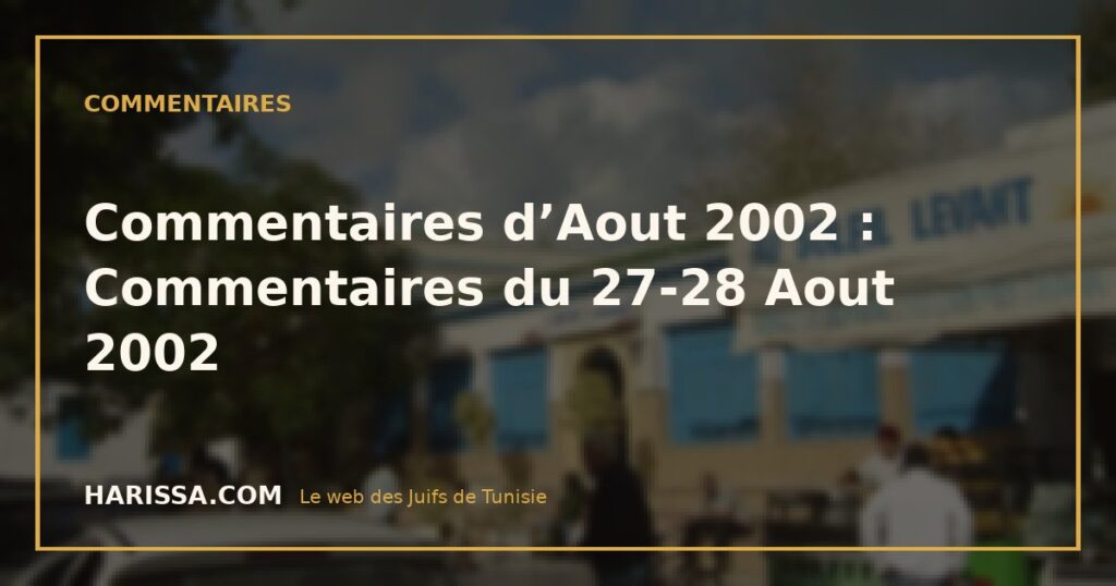 Commentaires d’Aout 2002 : Commentaires du 27-28 Aout 2002