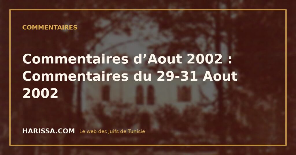Commentaires d’Aout 2002 : Commentaires du 29-31 Aout 2002