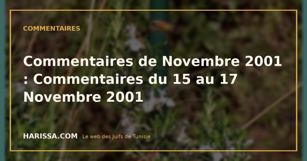 Commentaires de Novembre 2001 : Commentaires du 15 au 17 Novembre 2001