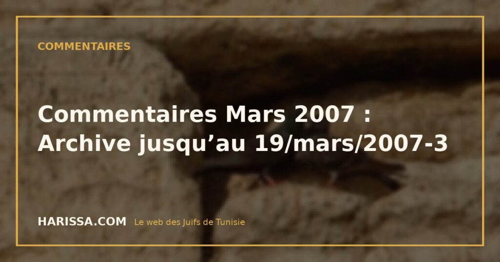 Commentaires Mars 2007 : Archive jusqu’au 19/mars/2007-3