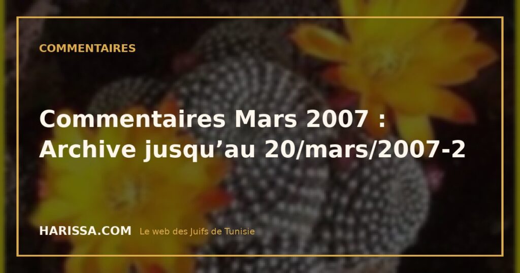 Commentaires Mars 2007 : Archive jusqu’au 20/mars/2007-2