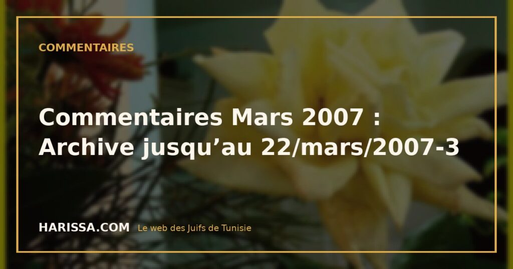 Commentaires Mars 2007 : Archive jusqu’au 22/mars/2007-3