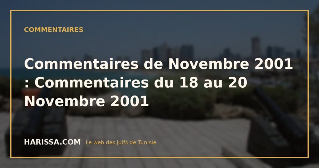 Commentaires de Novembre 2001 : Commentaires du 18 au 20 Novembre 2001 Commentaires de Novembre 2001 : Commentaires du 18 au 20 Novembre 2001