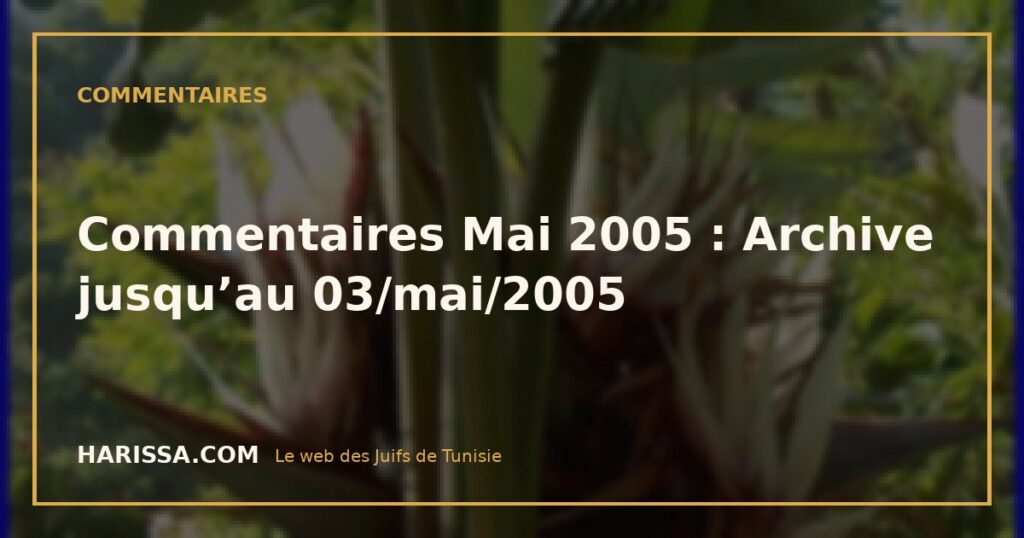 Commentaires Mai 2005 : Archive jusqu’au 03/mai/2005