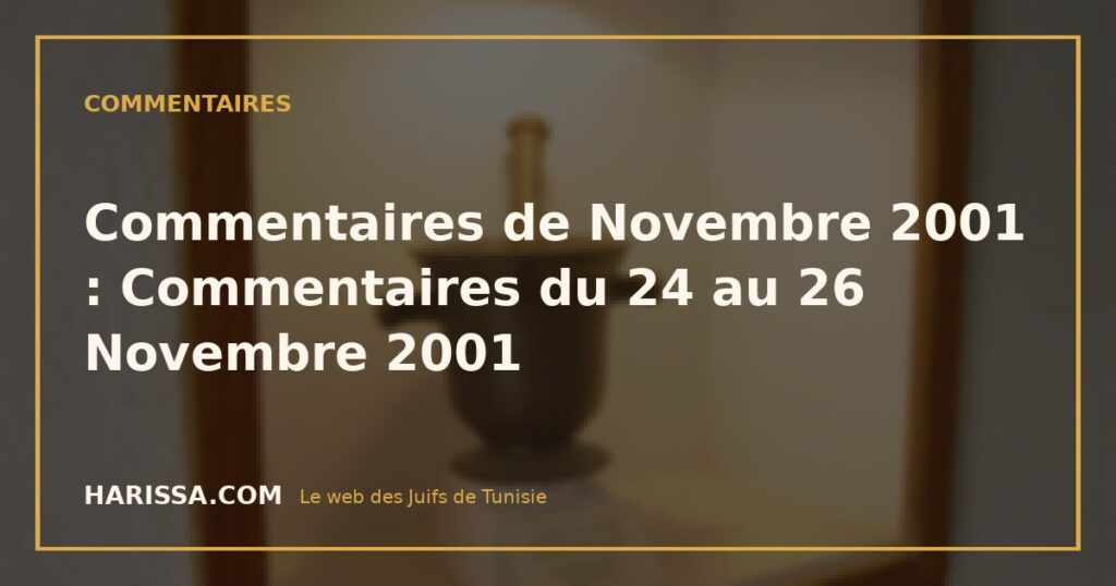 Commentaires de Novembre 2001 : Commentaires du 24 au 26 Novembre 2001