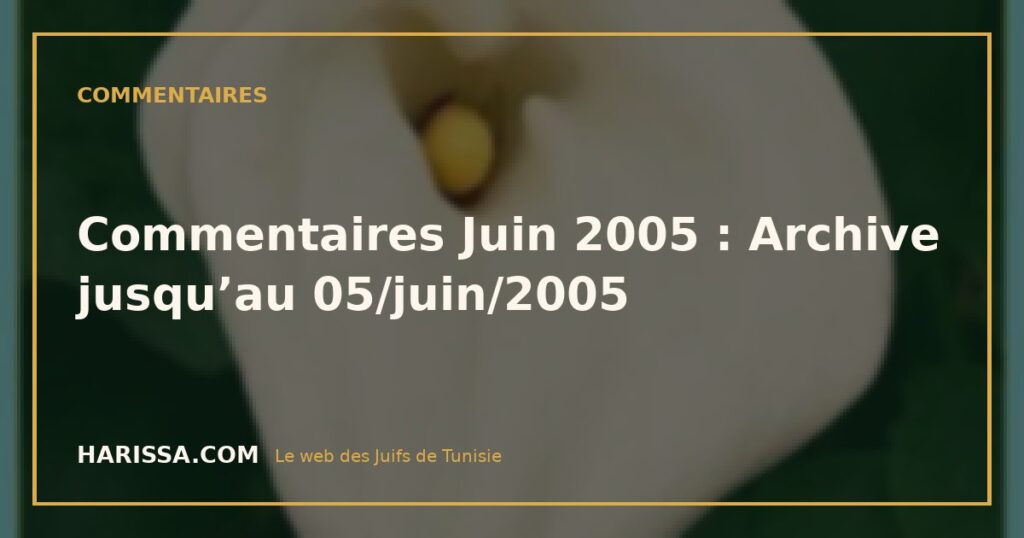 Commentaires Juin 2005 : Archive jusqu’au 05/juin/2005