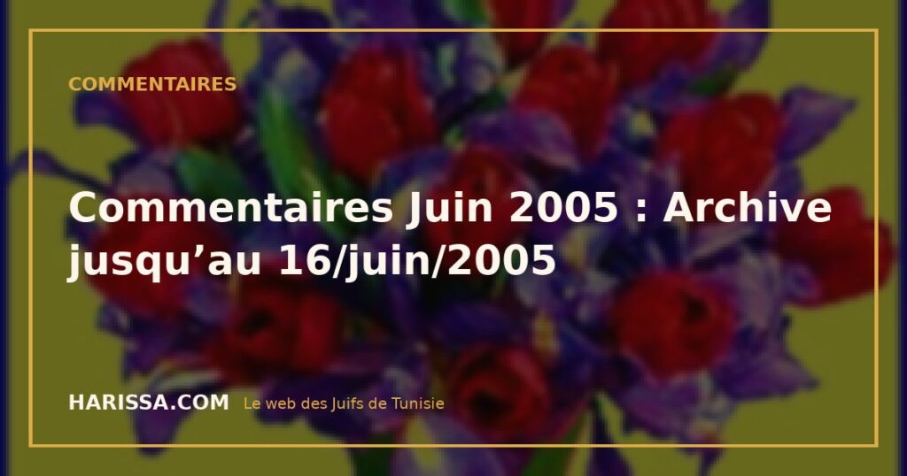 Commentaires Juin 2005 : Archive jusqu’au 16/juin/2005