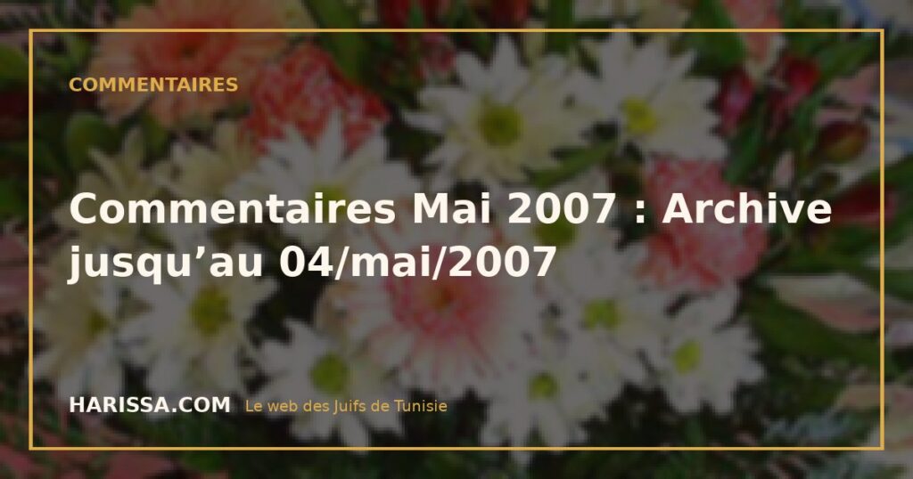Commentaires Mai 2007 : Archive jusqu’au 04/mai/2007