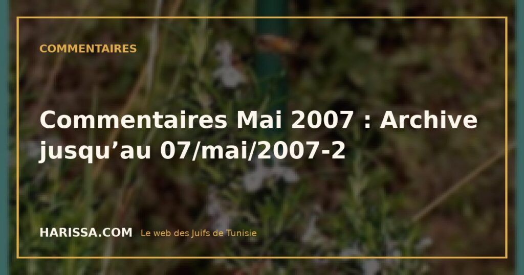 Commentaires Mai 2007 : Archive jusqu’au 07/mai/2007-2