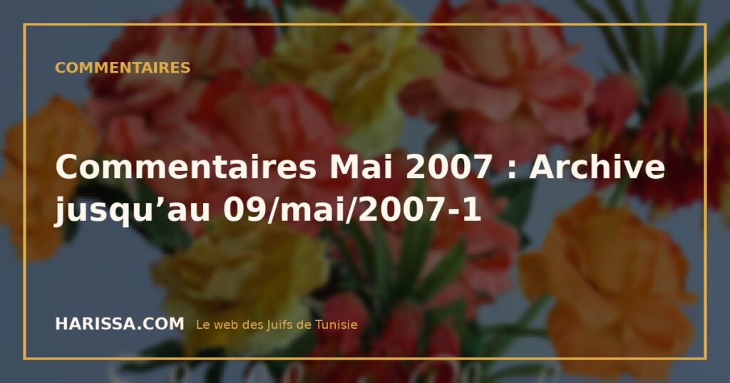 Commentaires Mai 2007 : Archive jusqu’au 09/mai/2007-1