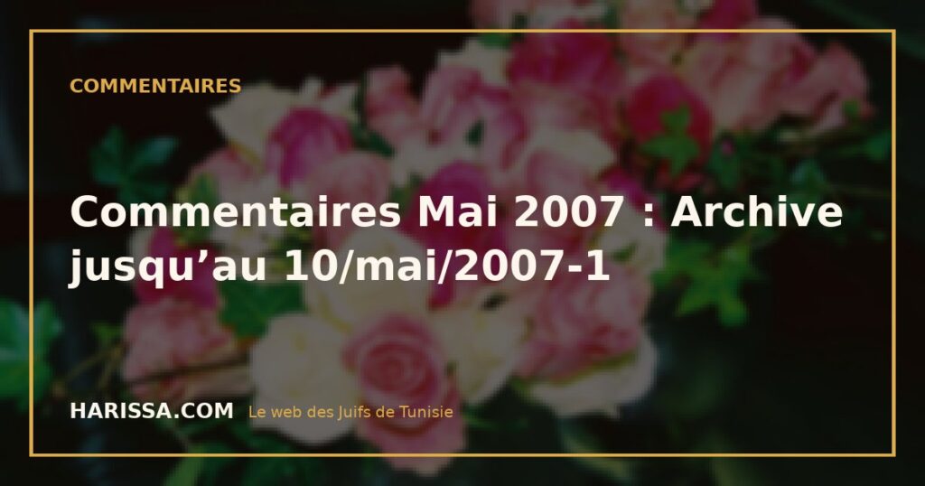 Commentaires Mai 2007 : Archive jusqu’au 10/mai/2007-1