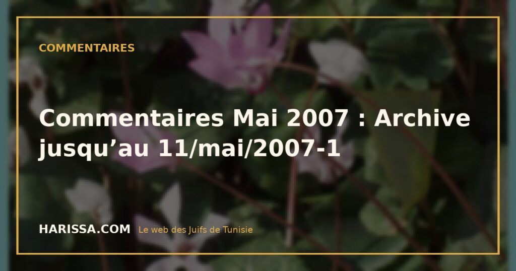Commentaires Mai 2007 : Archive jusqu’au 11/mai/2007-1