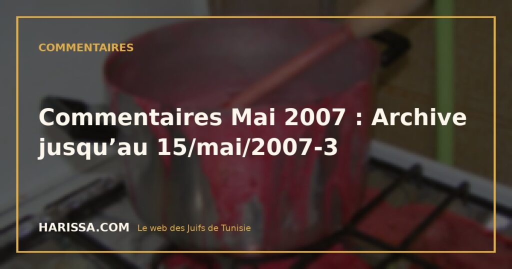 Commentaires Mai 2007 : Archive jusqu’au 15/mai/2007-3