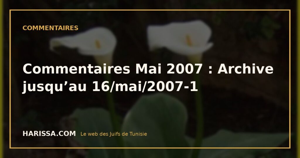 Commentaires Mai 2007 : Archive jusqu’au 16/mai/2007-1