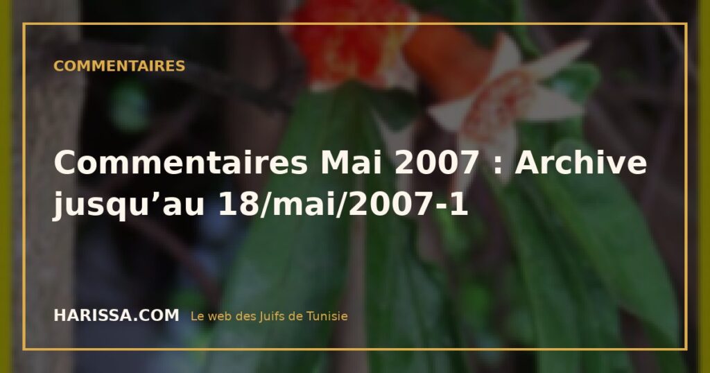 Commentaires Mai 2007 : Archive jusqu’au 18/mai/2007-1