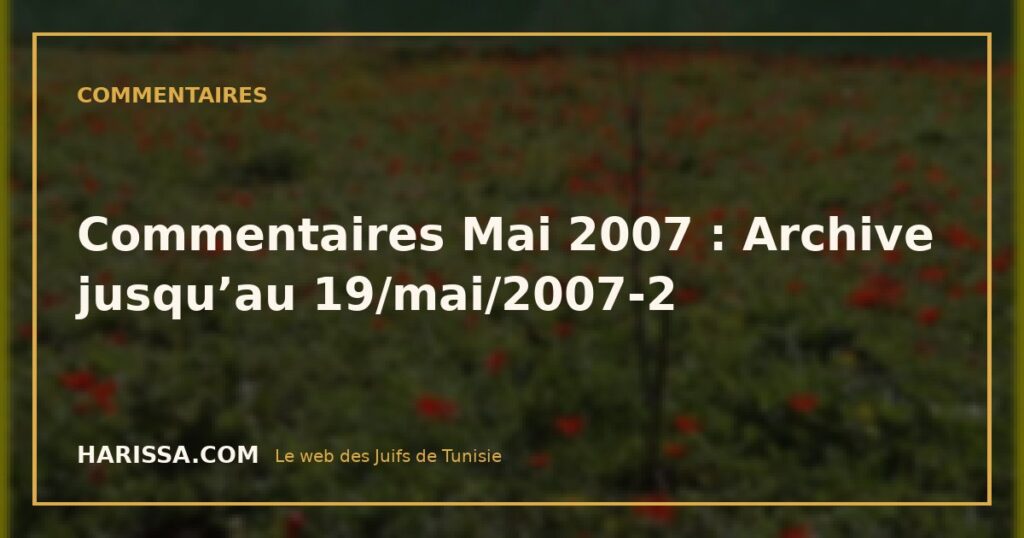 Commentaires Mai 2007 : Archive jusqu’au 19/mai/2007-2