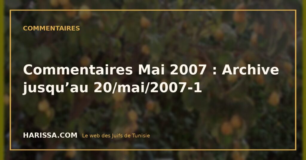 Commentaires Mai 2007 : Archive jusqu’au 20/mai/2007-1