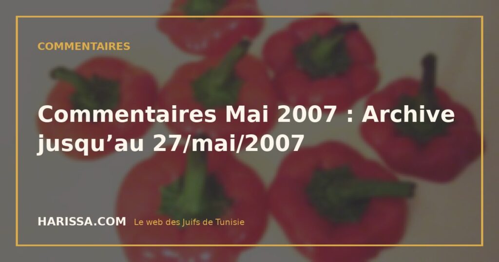 Commentaires Mai 2007 : Archive jusqu’au 27/mai/2007