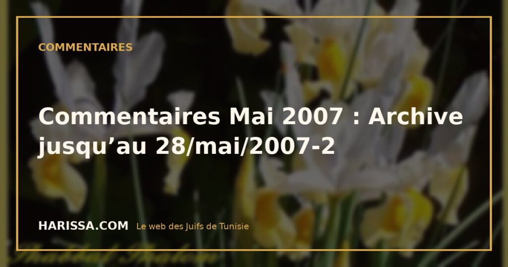 Commentaires Mai 2007 : Archive jusqu’au 28/mai/2007-2