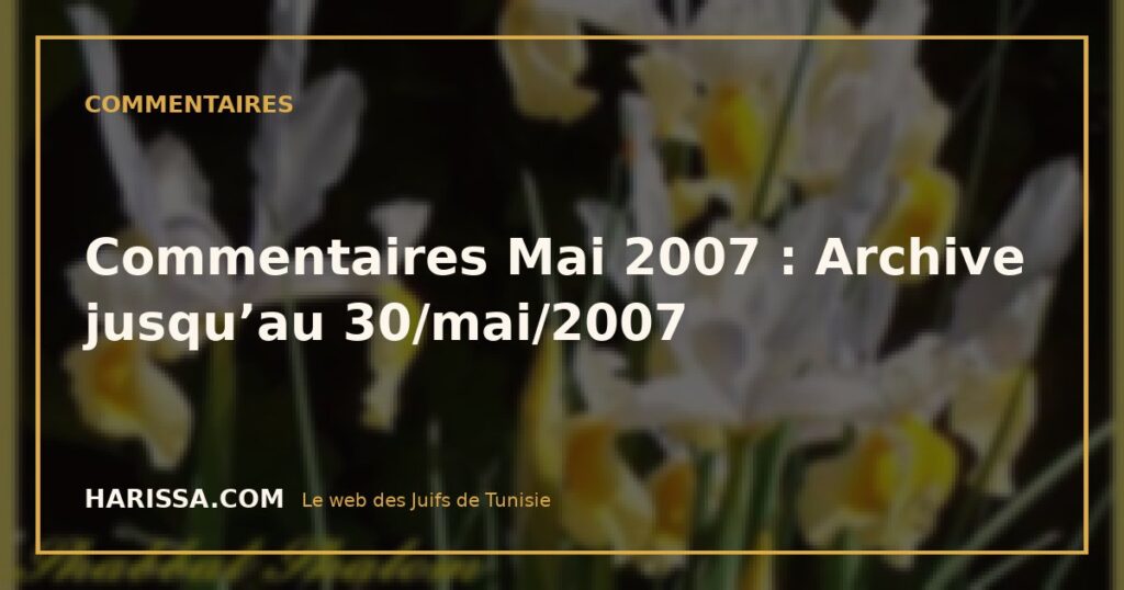 Commentaires Mai 2007 : Archive jusqu’au 30/mai/2007