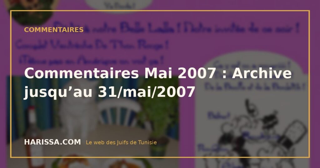 Commentaires Mai 2007 : Archive jusqu’au 31/mai/2007