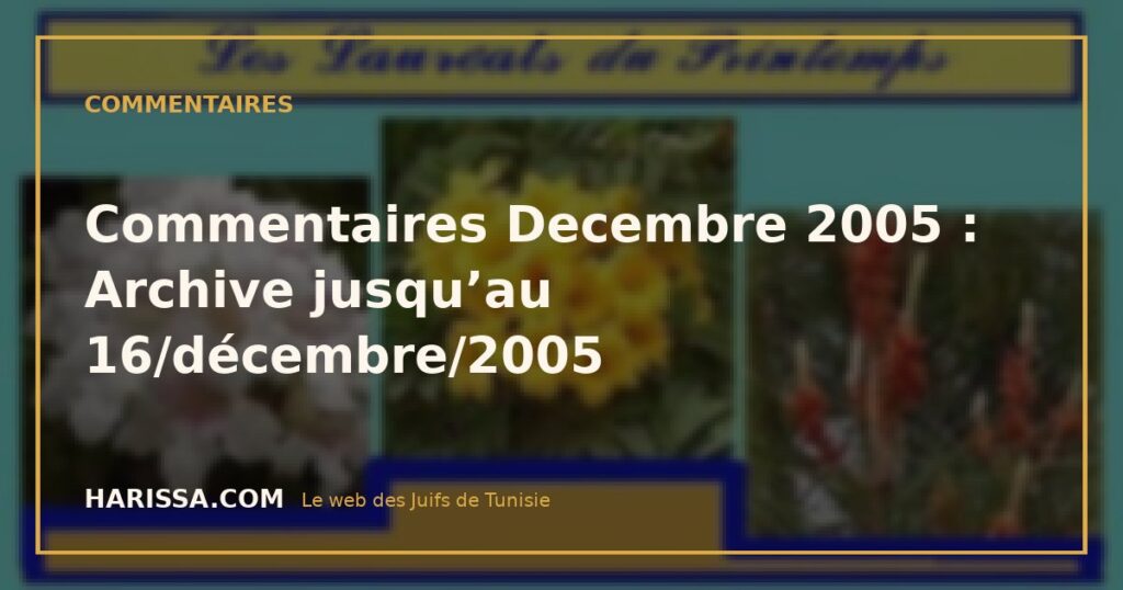 Commentaires Decembre 2005 : Archive jusqu’au 16/décembre/2005
