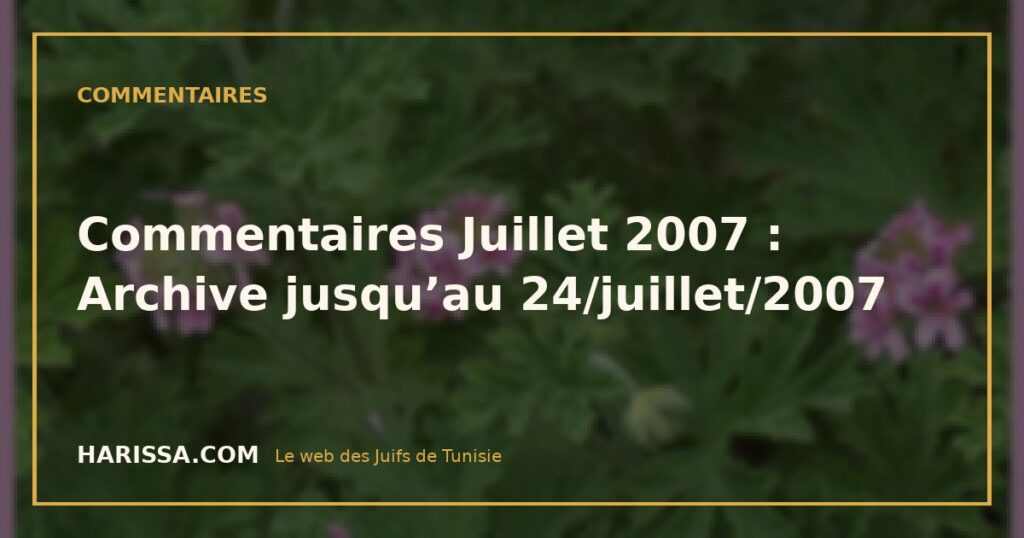Commentaires Juillet 2007 : Archive jusqu’au 24/juillet/2007